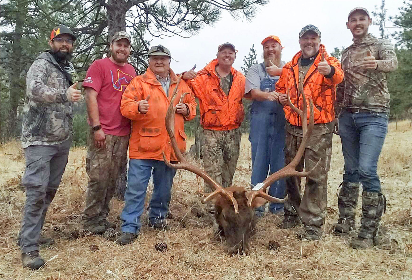 It takes a village to pack out an elk